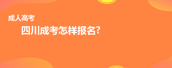 艺术考生如何填报志愿_艺术考生网上报名系统_艺术考生