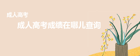 成人高考成绩在哪儿查询