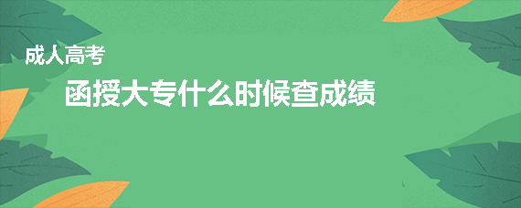 函授大专什么时候查成绩