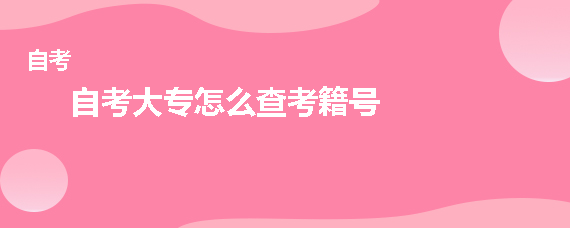自考大专怎么查考籍号