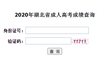 2020湖北成人高考成績(jī)查詢?nèi)肟?png