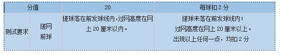 搓網(wǎng)前球評(píng)分標(biāo)準(zhǔn)