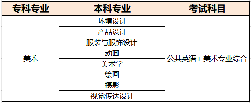 河南專升本美術(shù)專業(yè)考試科目