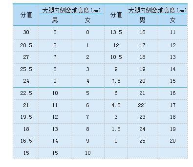 橫叉評分標準