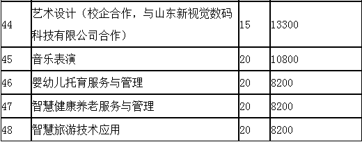 2022年煙臺(tái)南山學(xué)院高職單招與綜合評(píng)價(jià)招生計(jì)劃