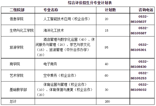 2022年青島職業(yè)技術(shù)學(xué)院單獨(dú)招生和綜合評價招生計(jì)劃