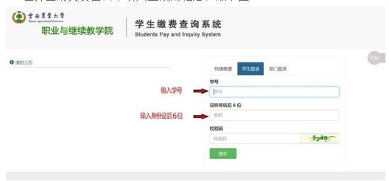 云南农业大学成人高考学生线上缴纳学费流程1.png