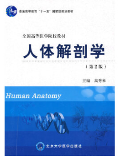 《人体解剖学》(第二版)高秀来北京大学医学出版社(2009年4月)