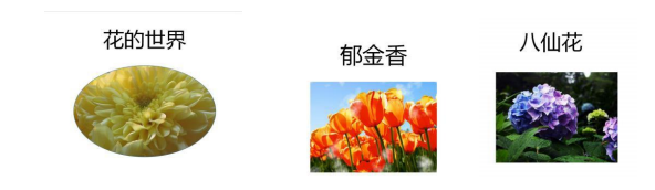 辽宁省2019年高等职业教育对口升学招生考试(非师范类专业)计算机应用基础