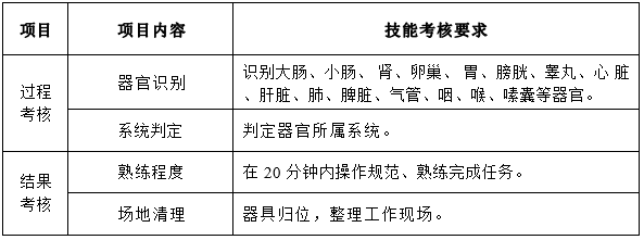 器官 (豬、雞、羊、兔) 識別及所屬系統(tǒng)判定