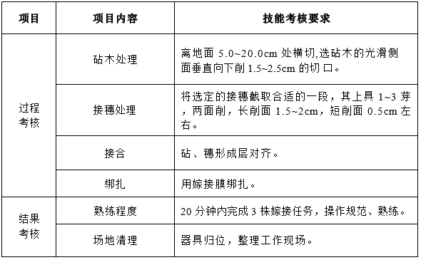 木本植物切接法嫁接技術(shù)