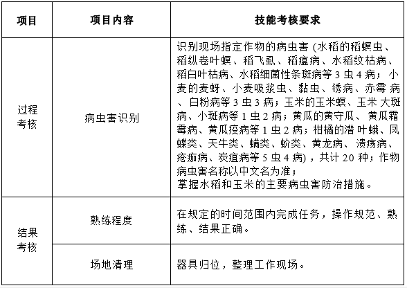 常见作物病虫害识别与诊断