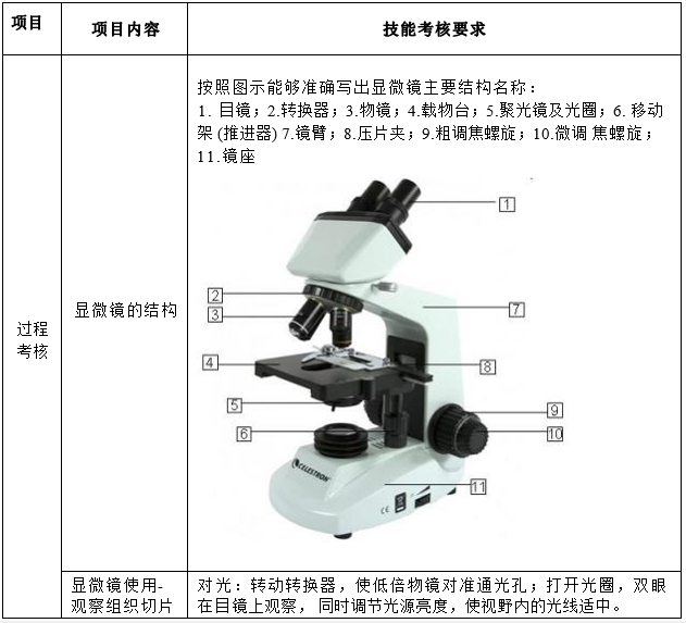 显微镜的结构与使用