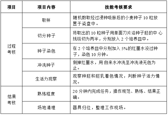 红墨水法快速测定种子 (小麦) 生命力