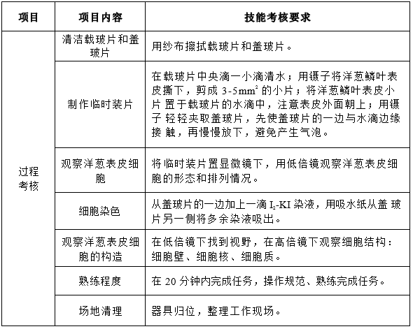 洋蔥表皮細(xì)胞的制片