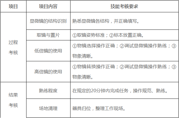 评分项目及评分细则