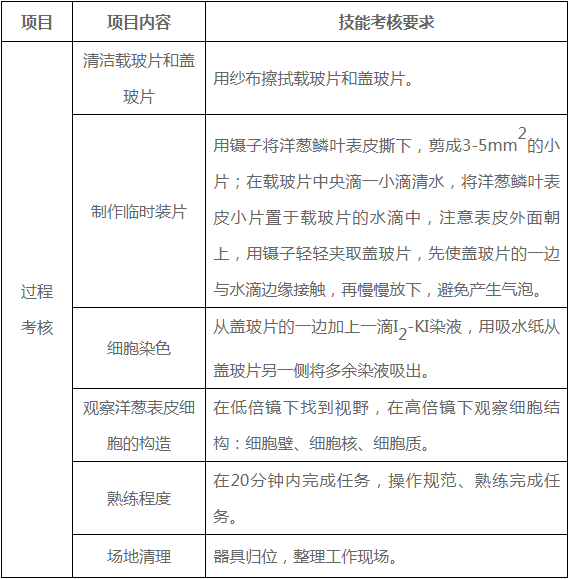 評分項目及評分細則