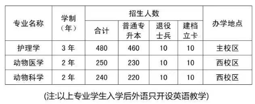 招生专业及招生计划